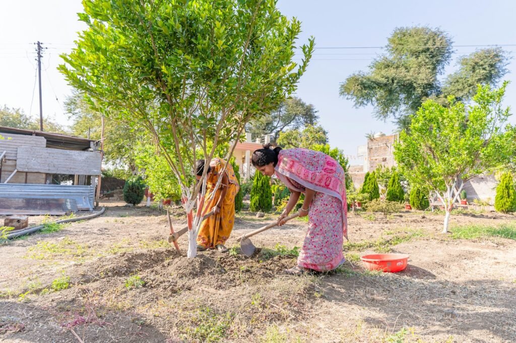 A woman planting a tree