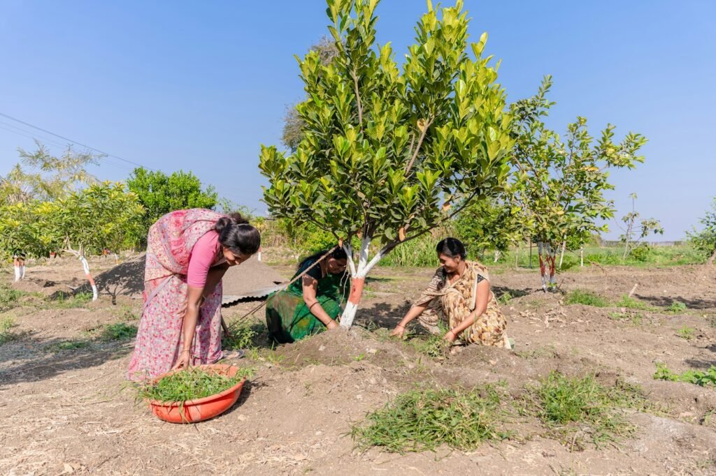 Women gathered around a newly planted tree